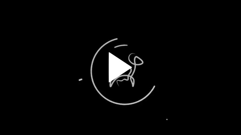 IntroLogo - Motion Design